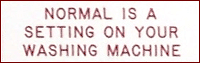 NORMAL IS A SETTING ON YOUR WASHING MACHINE